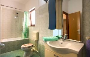 Koupelna v ubytování Holiday Home Grandici Iv