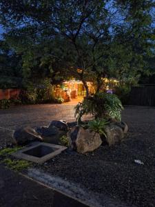 ogród z kamieniami i drzewem w nocy w obiekcie Guapote Lodge w mieście Tigra