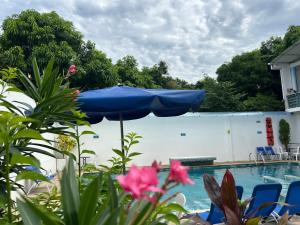 Πισίνα στο ή κοντά στο Tropical Resort Tocaima