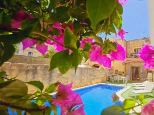 a pool with pink flowers in front of a building at Traditional Farmhouse Central Gozo in Xagħra
