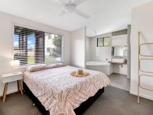 ein Schlafzimmer mit einem Bett, auf dem eine Katze sitzt in der Unterkunft Hibiscus Dreaming - Walking distance to the beach in Brooms Head