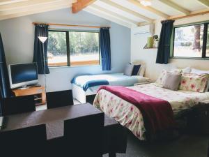 但尼丁的住宿－Height of Dunedin Serviced Farm Stay，小房间设有两张床和电视
