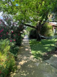 Sodas prie apgyvendinimo įstaigos אמיתי נוף קסום