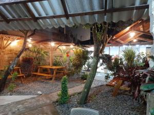 Hotel Zona Libre Capurganá - Cerca a la playa y el muelle外面的花园