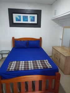 a bedroom with a bed with blue sheets and a dresser at BIDESI VILLA Apartments in Suva