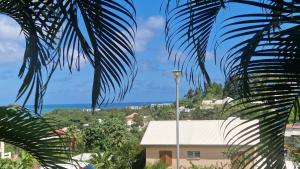 a view of the ocean from a palm tree at Heaven-peace SWEETY in La Trinité