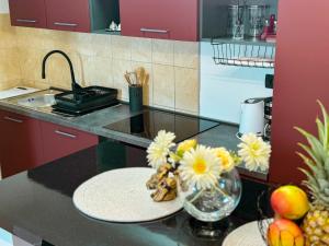 Kuchyňa alebo kuchynka v ubytovaní Studio Apartment Mandic
