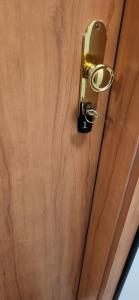 a wooden door with a brass door knob at Pension Wolfi in Gersdorf