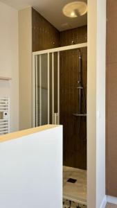 een badkamer met een douche met een glazen deur bij Maison Ausiphica in Arcachon