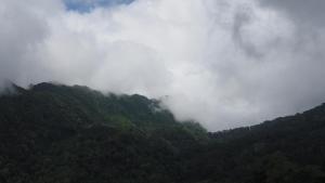 Gallery image of ahpokafei อาโพดอยผาหมี in Ban Pha Mi
