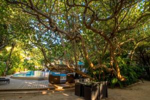 Piscina di Paradise Beach Hotel & Resort o nelle vicinanze