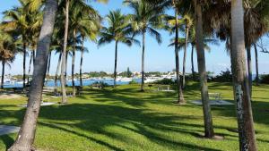 a park with palm trees and a body of water at Lago Mar Motel and Apartments in Lake Worth