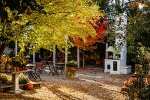 a garden in the fall with leaves on the ground at Kővirág Panzió in Köveskál