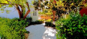 Gallery image of Villa Pandesia in Afitos