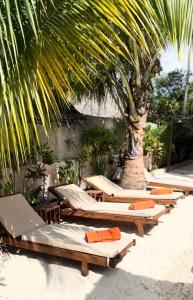 a row of chaise lounges under a palm tree at Chokoro House in Paje