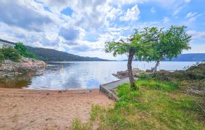 a tree on the shore of a body of water at Nice Home In Klokkarstua With Wifi in Ustad +22 photos