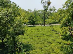 Giardino di Spring Inn Bir-Billing
