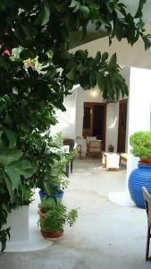 Gallery image of Douskos Uptown Living in Hydra