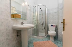 a bathroom with a shower and a sink and a toilet at Villa Baronnos in Gaios