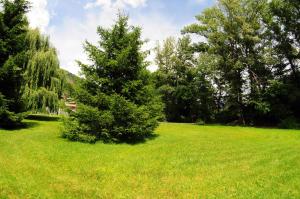 Jardin de l'établissement Residence Eden Park