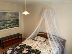 a bedroom with a bed with a mosquito net at Retrohenkinen taiteilijakoti - Tampere Kaleva in Tampere