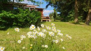 Zahrada ubytování Ferienhaus Beerberg