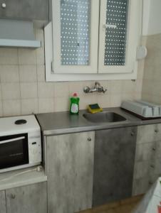 a kitchen with a sink and a microwave at Anna Apartments in Agiokampos