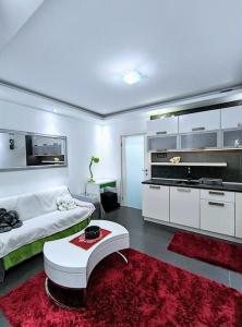 Η κουζίνα ή μικρή κουζίνα στο Jednosoban apartman u centru Bara