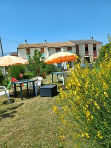 A garden outside Alloggio Taddei