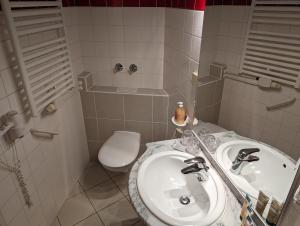 Koupelna v ubytování Apartment mit Balkon und Pool, zentral am Waldrand
