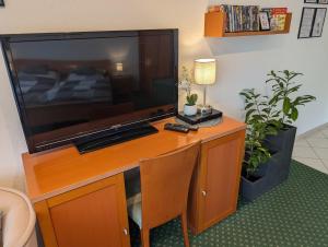 TV a/nebo společenská místnost v ubytování Apartment mit Balkon und Pool, zentral am Waldrand