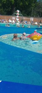 a group of people swimming in a swimming pool at Happy place no4 in Ringwood