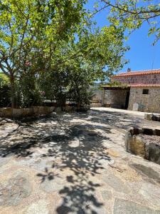 an empty courtyard with a tree and a building at Guesthouse Kamara II in Monemvasia