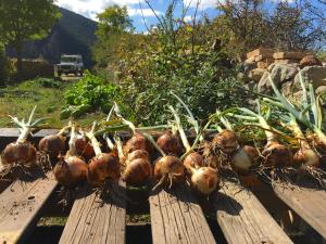 Vonkajšia záhrada v ubytovaní Cal Pesolet Eco Turisme Rural