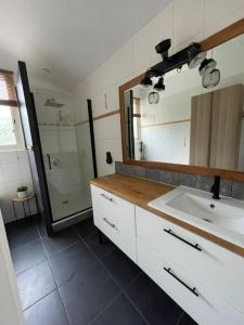 a bathroom with a sink and a mirror and a shower at Magnifique Maison de Ville in Lormont