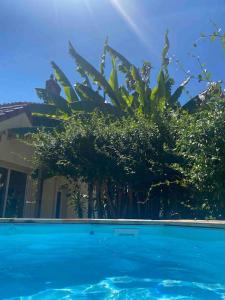 a blue swimming pool with trees in front of a house at Magnifique Maison de Ville in Lormont