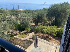 Gallery image of Villa Danae in Gaios