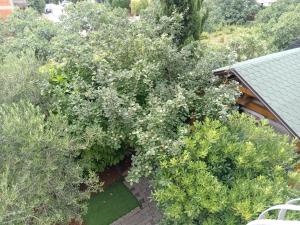 an overhead view of a plant with white flowers at Ana Rooms in Krk