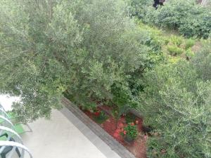 an overhead view of a garden with trees and flowers at Ana Rooms in Krk