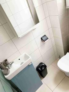 a white bathroom with a sink and a toilet at Studio TOURNETTE in Chambéry +19 photos