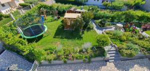 Zahrada ubytování Apartments Marušić