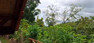 a view of a forest of trees and bushes at Uma Nirmala Aling-Aling in Singaraja