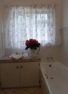 a bathroom with a sink and a window with a flower at Mountain View Holiday Home in Franskraal +14 photos