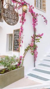 Fotografie z fotogalerie ubytování Pargas Distillery Suites v destinaci Parga