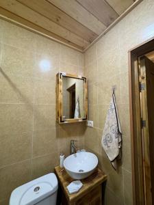 a bathroom with a sink and a toilet and a mirror at Big stone in Dilijan +22 photos