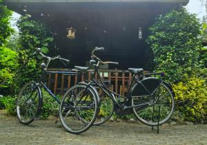 Hattemerbroekにある"De Jungle" Chalet met veranda op IJsselheide Hattemerbroek Veluweの建物の前に駐輪した自転車2台