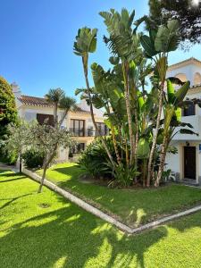 Κήπος έξω από το Casa Ola