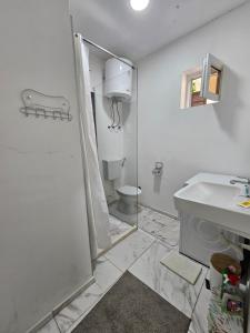 Koupelna v ubytování Apartmani Radman 1 - Igalo + 15 fotografií