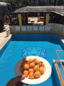 Ảnh trong thư viện ảnh của Safari Suit 2025-5 ở Side