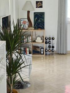 a living room with a potted plant and a shelf of wine bottles at Happy garden house in Kožino